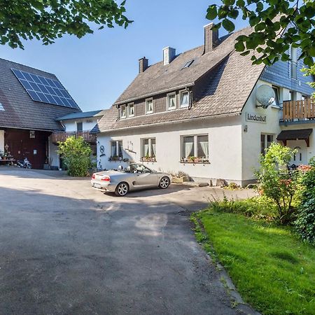 Ferienwohnungen Lindenhof Willingen  Ngoại thất bức ảnh