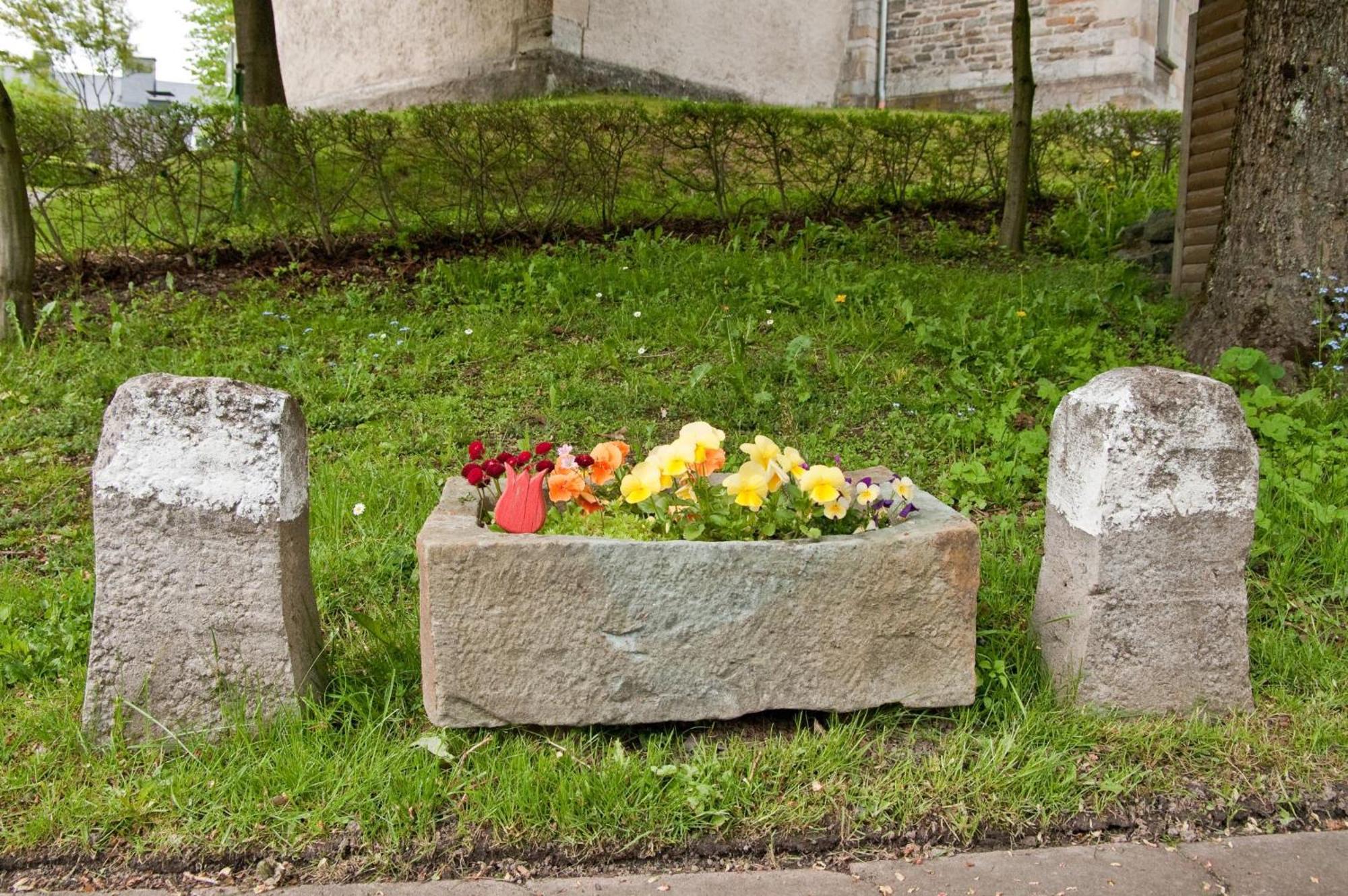 Ferienwohnungen Lindenhof Willingen  Ngoại thất bức ảnh